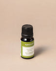 Sweet Basil Essential Oil