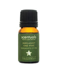 Bergamot & Pine Essential Oil Blend