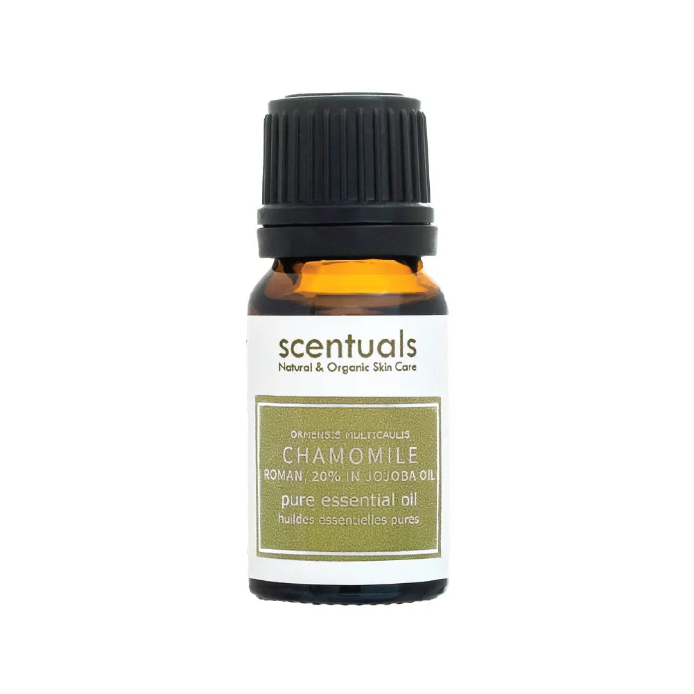 Roman Chamomile Essential Oil 20%