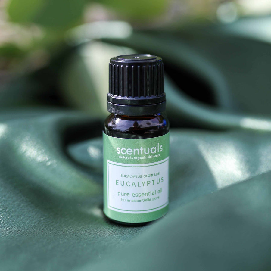 Eucalyptus Essential Oil - Scentuals Natural & Organic Skin Care