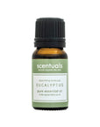 Eucalyptus Essential Oil