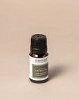 Fir Balsam Essential Oil