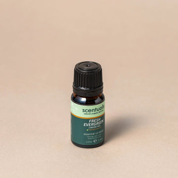 Fresh Evergreen Essential Oil Blend