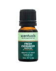 Fresh Evergreen Essential Oil Blend