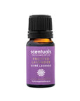 Frosted Lavender Essential Oil Blend