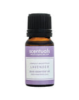 Lavender Essential Oil