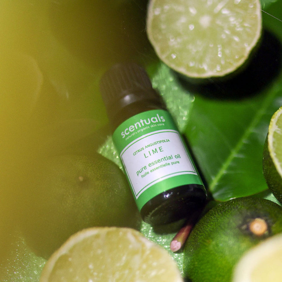 Lime Essential Oil - Scentuals Natural & Organic Skin Care