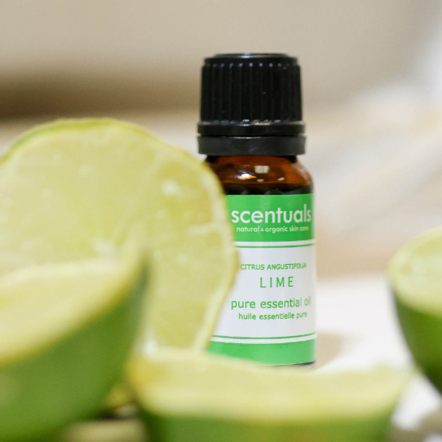 Lime Essential Oil - Scentuals Natural & Organic Skin Care