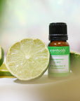 Lime Essential Oil - Scentuals Natural & Organic Skin Care