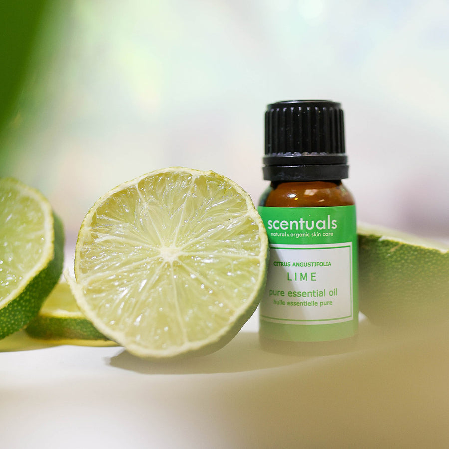 Lime Essential Oil - Scentuals Natural & Organic Skin Care