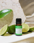 Lime Essential Oil - Scentuals Natural & Organic Skin Care