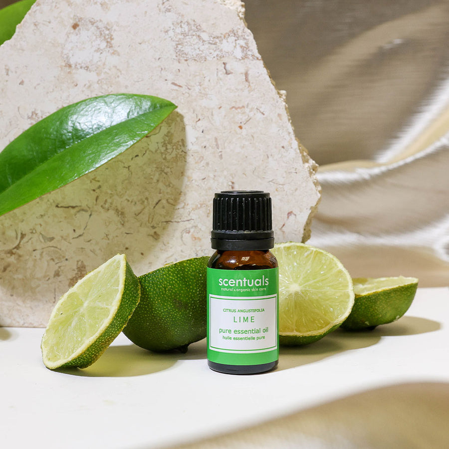 Lime Essential Oil - Scentuals Natural & Organic Skin Care