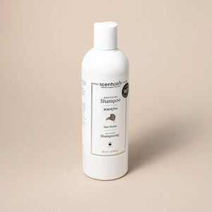 Scentfree Shampoo