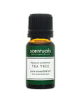 Tea Tree Essential Oil