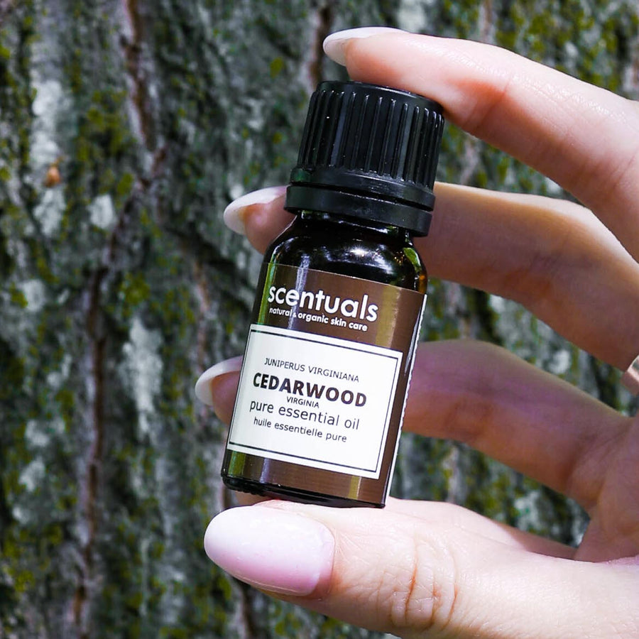 Cedarwood Essential Oil - Scentuals Natural & Organic Skin Care