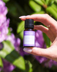 Lavender Essential Oil - Scentuals Natural & Organic Skin Care