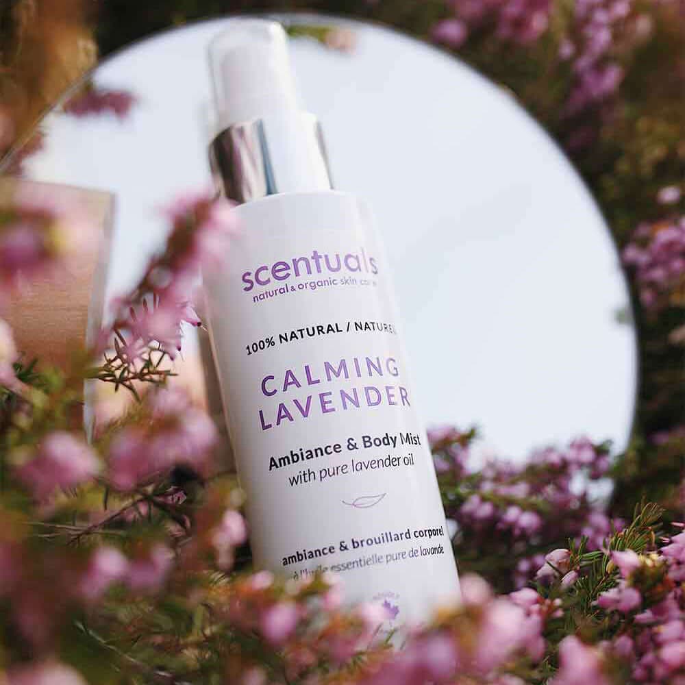 Calming Lavender Ambiance & Body Mist - Scentuals Natural & Organic Skin Care