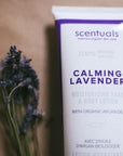 Calming Lavender Hand & Body Lotion - Scentuals Natural & Organic Skin Care