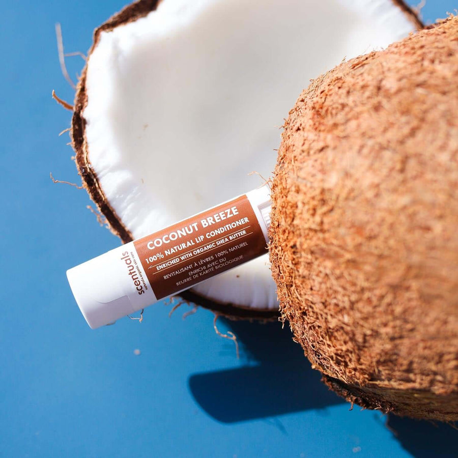 Coconut Breeze Lip Conditioner - Scentuals Natural & Organic Skin Care