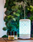 Enlighten Diffuser - Scentuals Natural & Organic Skin Care