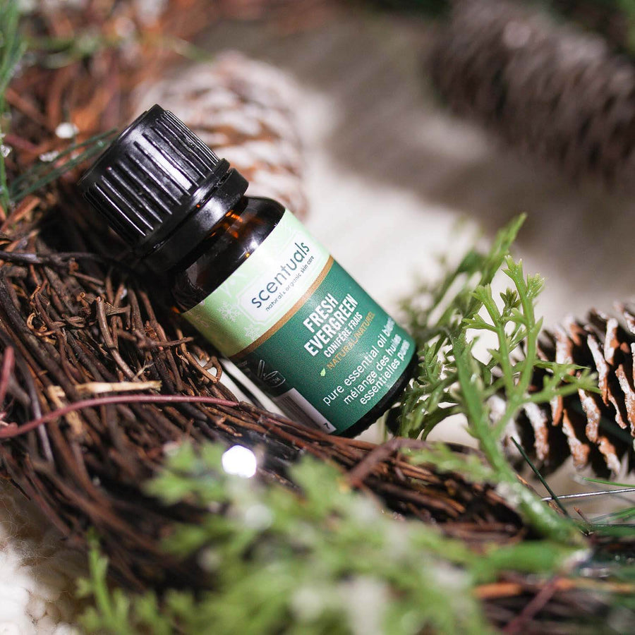 Fresh Evergreen Essential Oil - Scentuals Natural & Organic Skin Care