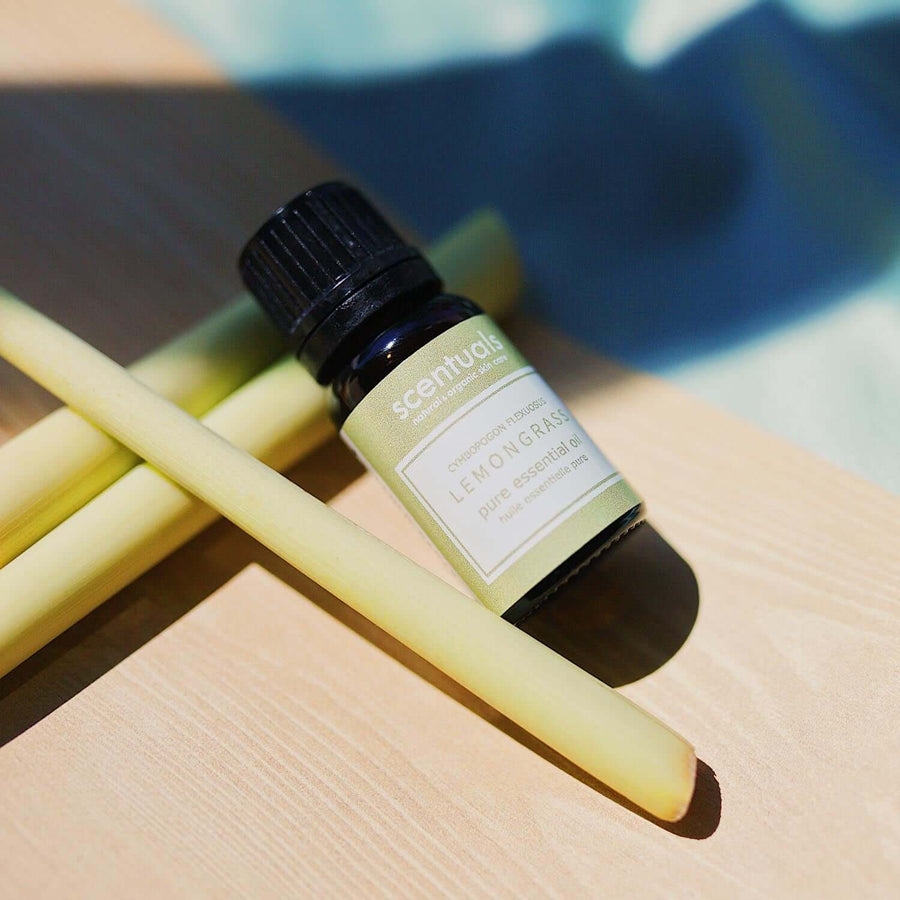 Lemongrass Essential Oil - Scentuals Natural & Organic Skin Care