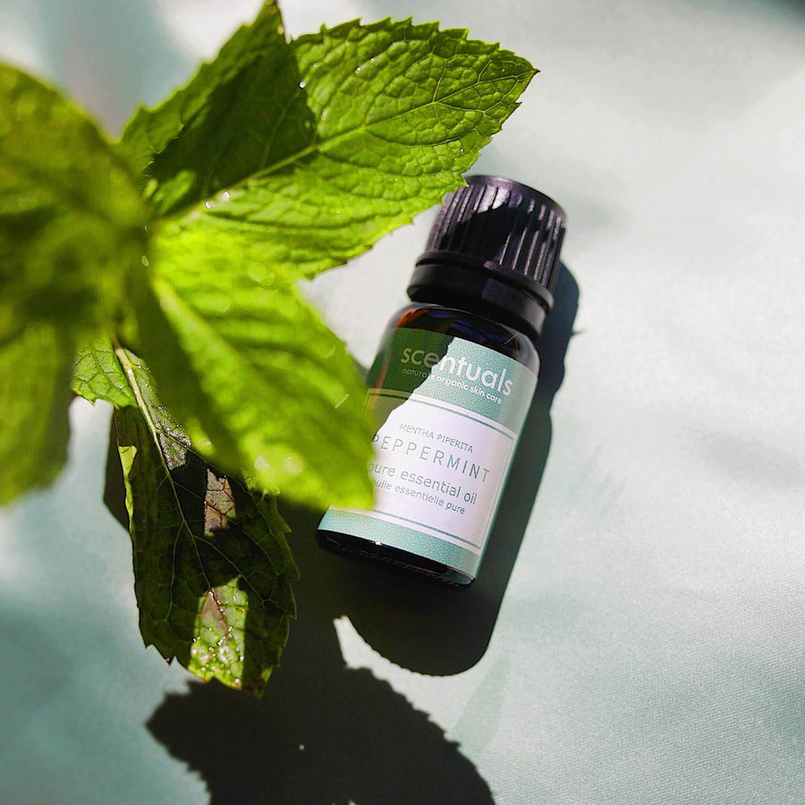 Peppermint Essential Oil - Scentuals Natural & Organic Skin Care