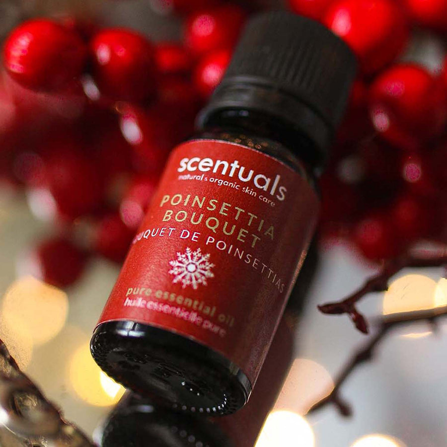 Poinsettia Bouquet Essential Oil - Scentuals Natural & Organic Skin Care