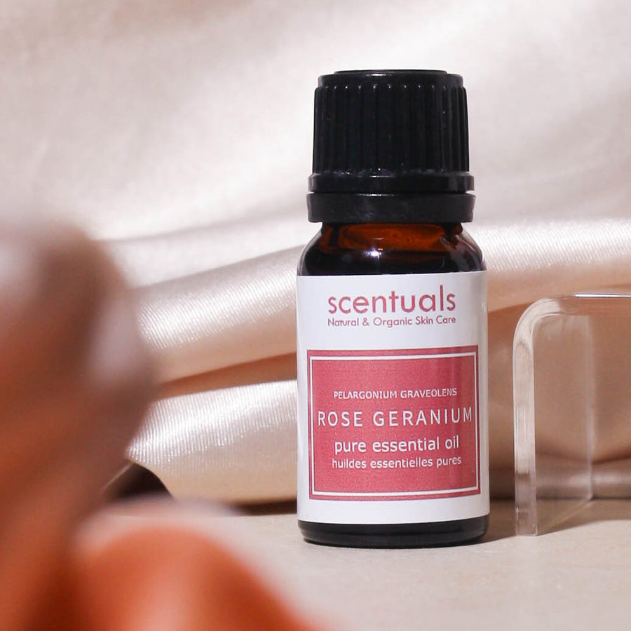 Rose Geranium Luxury Oil - Scentuals Natural & Organic Skin Care