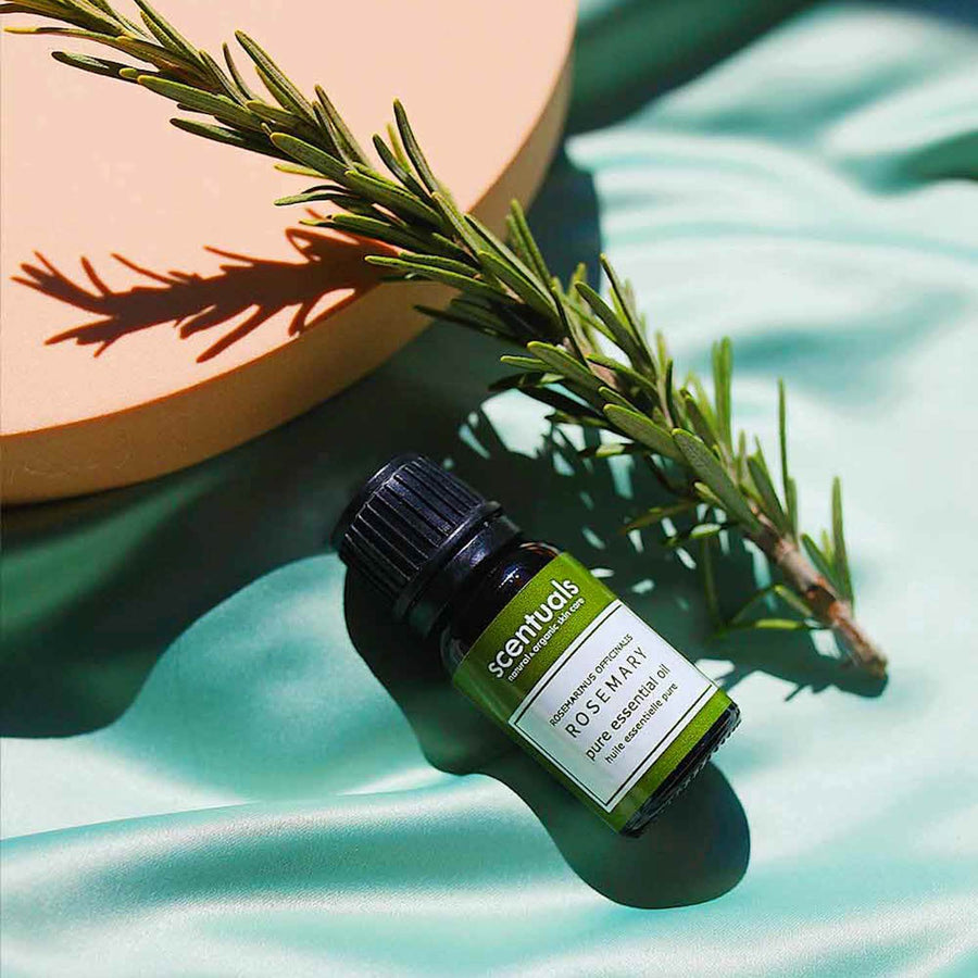 Rosemary Essential Oil - Scentuals Natural & Organic Skin Care