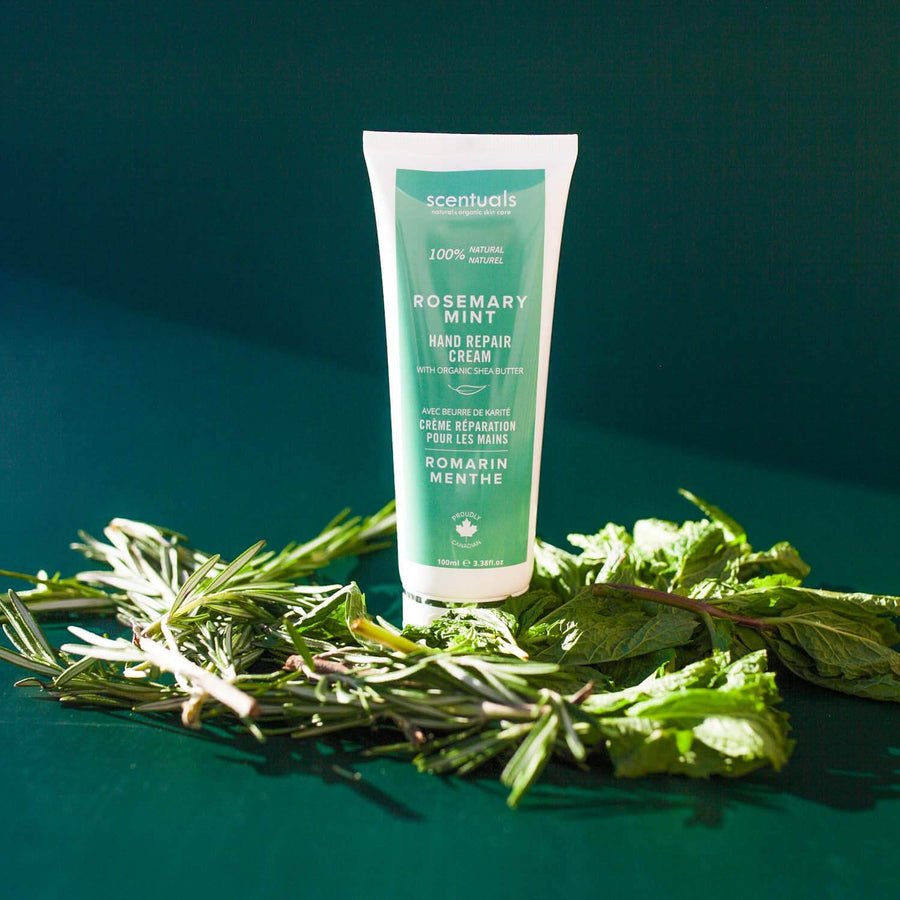 Rosemary Mint Hand Repair Cream - Scentuals Natural & Organic Skin Care