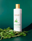 Rosemary Mint Shampoo - Scentuals Natural & Organic Skin Care