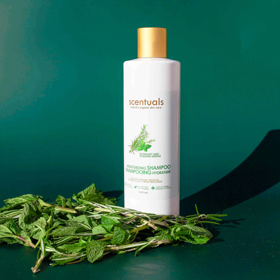 Rosemary Mint Shampoo - Scentuals Natural & Organic Skin Care