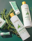 Rosemary Mint Shampoo - Scentuals Natural & Organic Skin Care