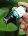 Tea Tree Essential Oil - Scentuals Natural & Organic Skin Care