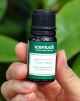 Tea Tree Essential Oil - Scentuals Natural & Organic Skin Care