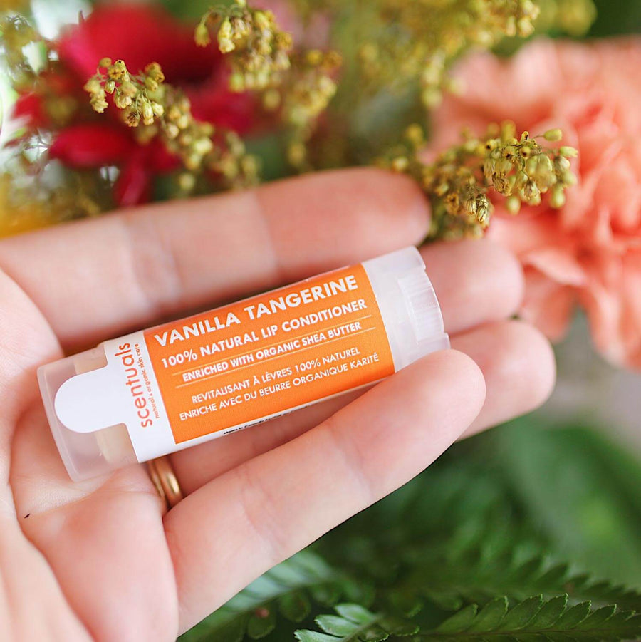 Vanilla Tangerine Lip Conditioner - Scentuals Natural & Organic Skin Care